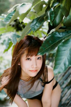 谁担任了大明风华的导演